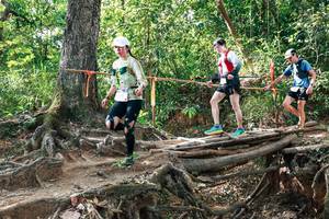 BIB: 
                            <button type="button" onclick="openModal(27558448)" class="btn btn-primary btn-sm float-right btn-popup" data-toggle="modal" data-target=".modal-high-quality">
                        <i class="fas fa-shopping-cart"></i> Add to Cart
                    </button>
                                            <button type="button" onclick="isThisMe(27558448, true)" class="btn btn-success btn-sm float-right btn-popup btn-isme hidden" data-toggle="tooltip" data-placement="bottom" title="นี่คือรูปของคุณใช่ไหม คลิกที่นี่เพื่อเอาเข้าอัลบั้ม">
                        <i class="fas fa-plus"></i> Add to album
                    </button>
                    <button type="button" onclick="isThisMe(27558448, false)" class="btn btn-warning btn-sm float-right btn-popup btn-isnotme hidden">
                        <i class="fas fa-ban"></i> Remove from album
                    </button>